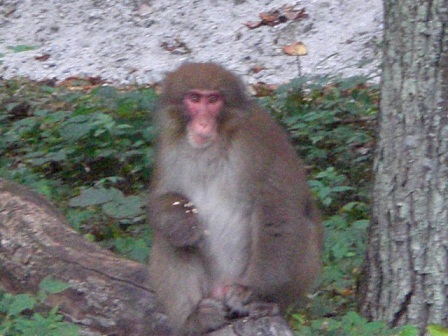 CIMG1367.JPG