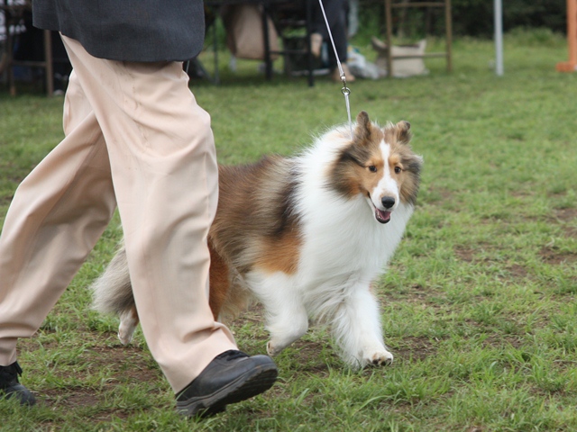 IMG_1438 - コピー.JPG