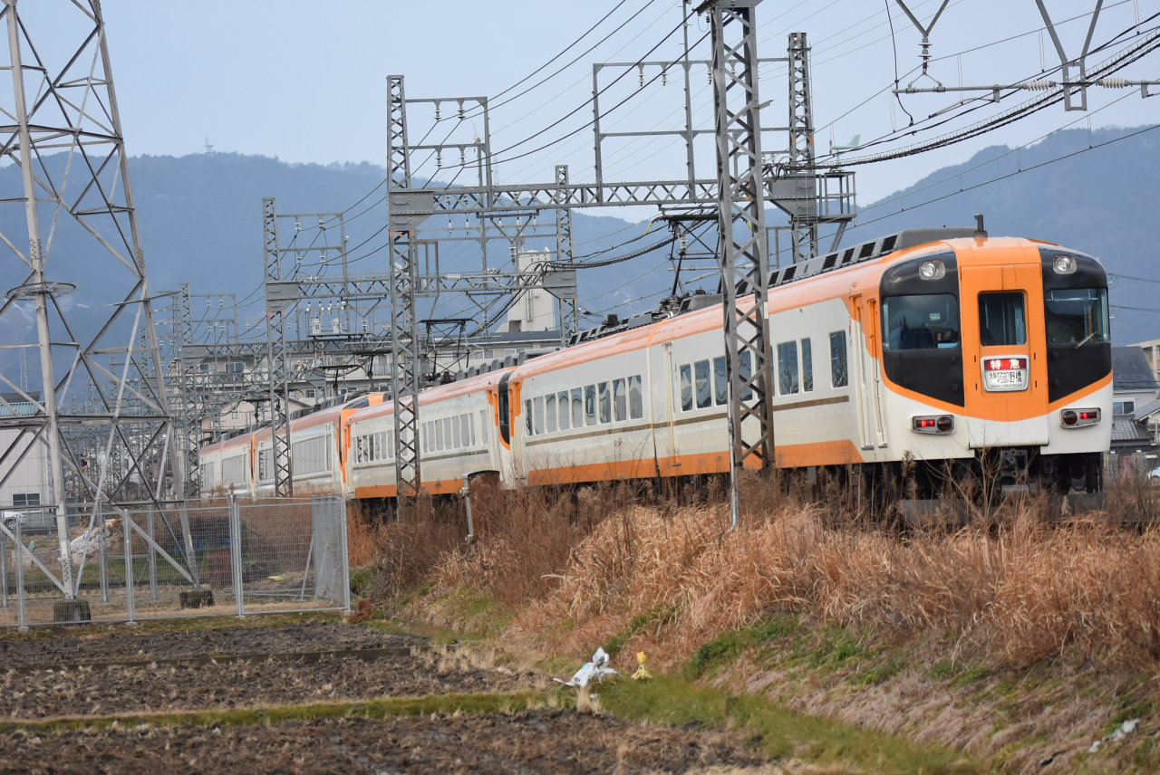 DSC_9336.JPG