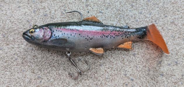 495 19セルテートLT5000D-CXHに ゴメクサスのリールスタンドは