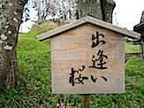 IMG_5494.JPG