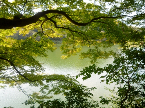 028 (500x375).jpg