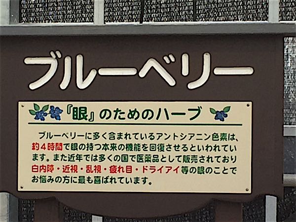rblog-20160308151930-04.jpg