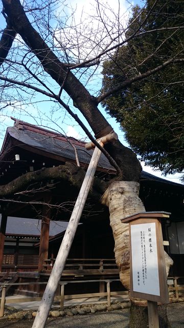 2015-01-27 14.00.16.jpg