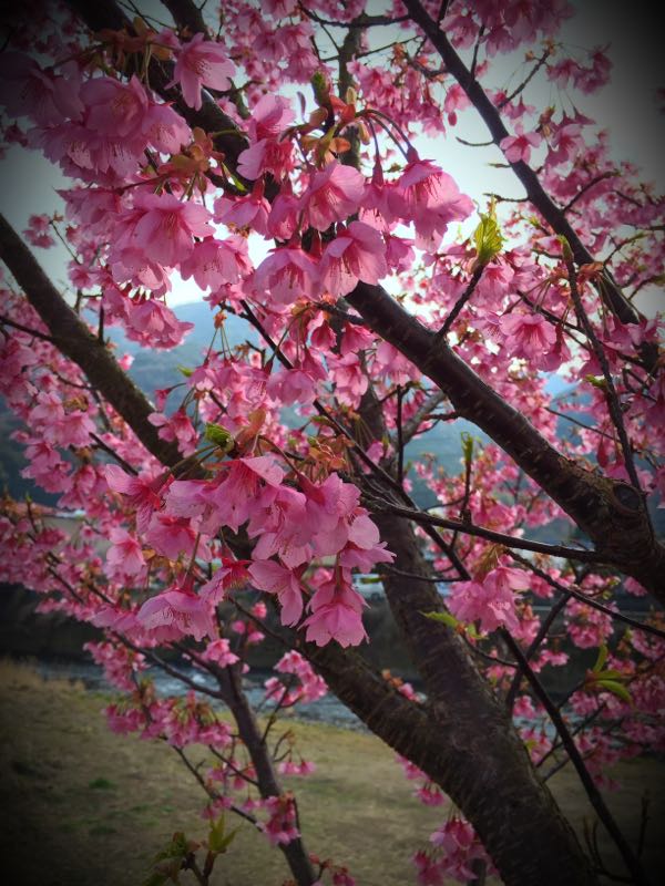 rblog-20160304152541-00.jpg