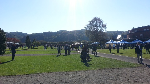 151007-1.jpg