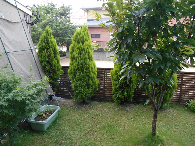 DSCN1922.JPG