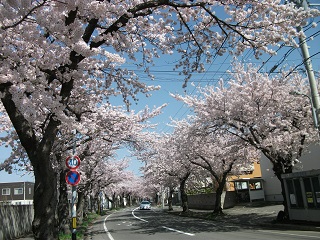 桜川のトンネル.JPG