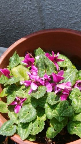 rblog-20180804041944-00.jpg