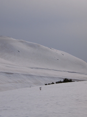 P4291058 (300x400).jpg