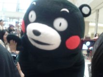 kumamon1.jpg