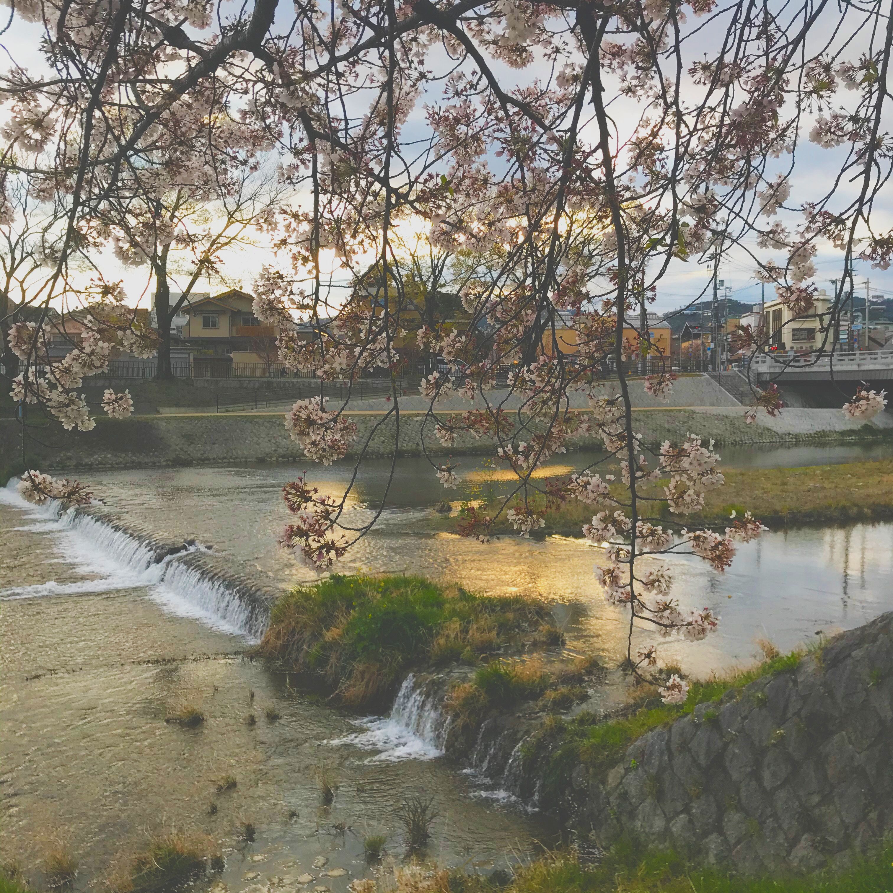 yuriのほしいもの