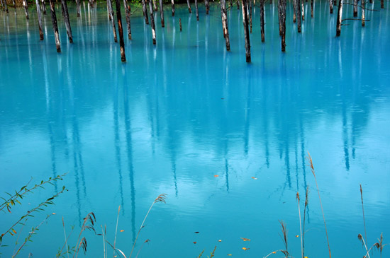 青い池２