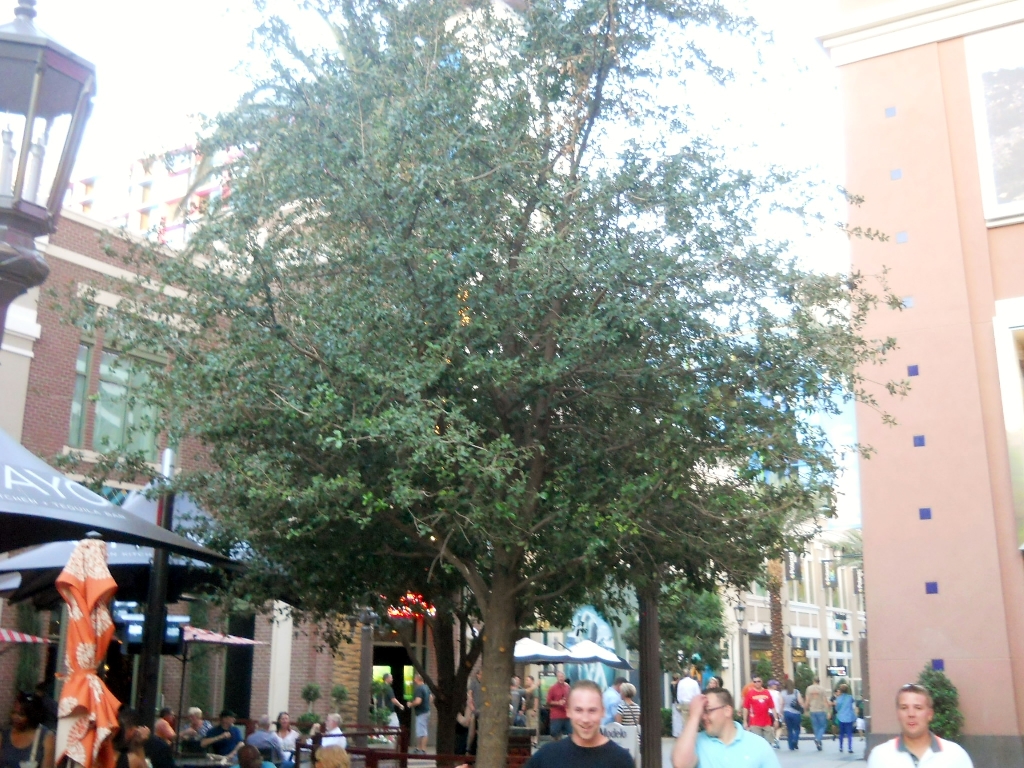 DSCN2582.jpg