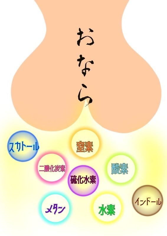 臭いおならはイヤ 恥ずかしいけど気になるおならの話 Unco２０２０ 楽天ブログ