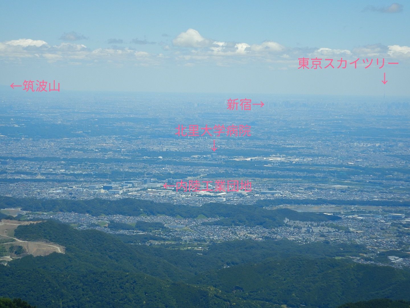 2018年5月20日 大山（神奈川）登山 ※行方不明男性発見されました | GATO NEGRO 安心してください 毛玉 吐いてますよ