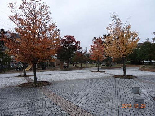 DSC04782_R.JPG