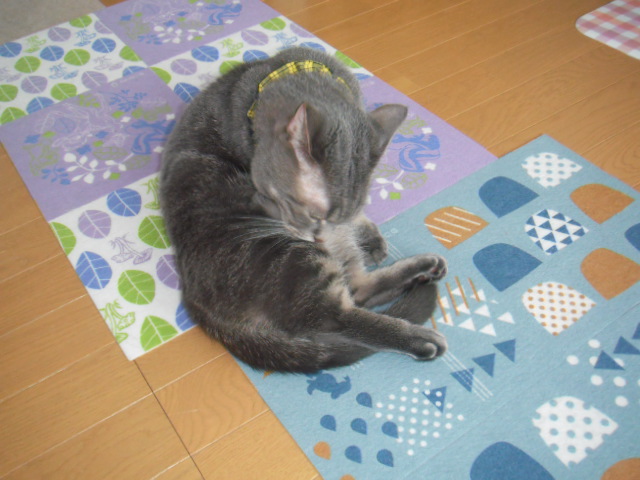2016_03090021.JPG