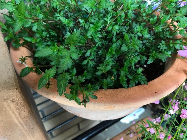 rblog-20190426181355-02.jpg