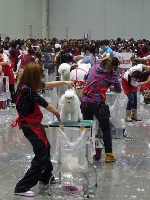 P1000246 - コピー.JPG