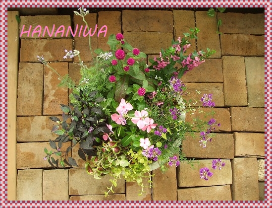 ヒミコ寄せ植え上から.JPG