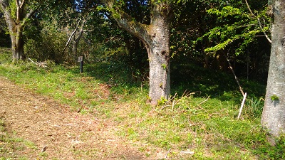 道の突き当り