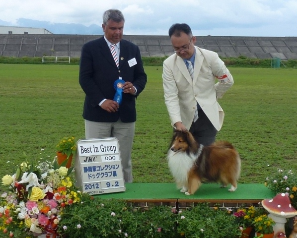 2012-09-02　JKC静岡東コレクションドッグ展.JPG