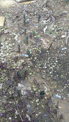 rblog-20140318161029-04.jpg