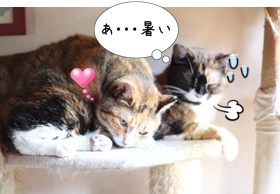 画像 3232.jpg