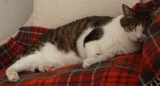 P1240741-ass.jpg
