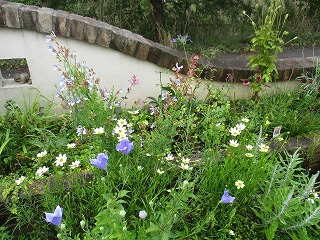 IMG_5846ss.jpg