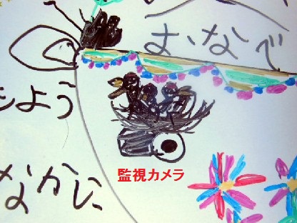 DSCN2405.JPG