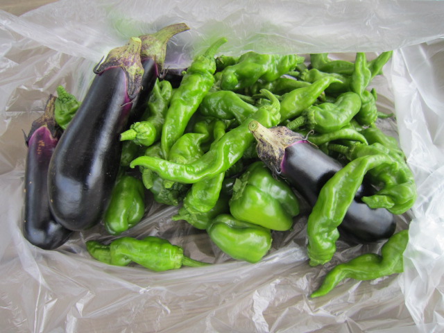 20120908本日の収穫物.jpg