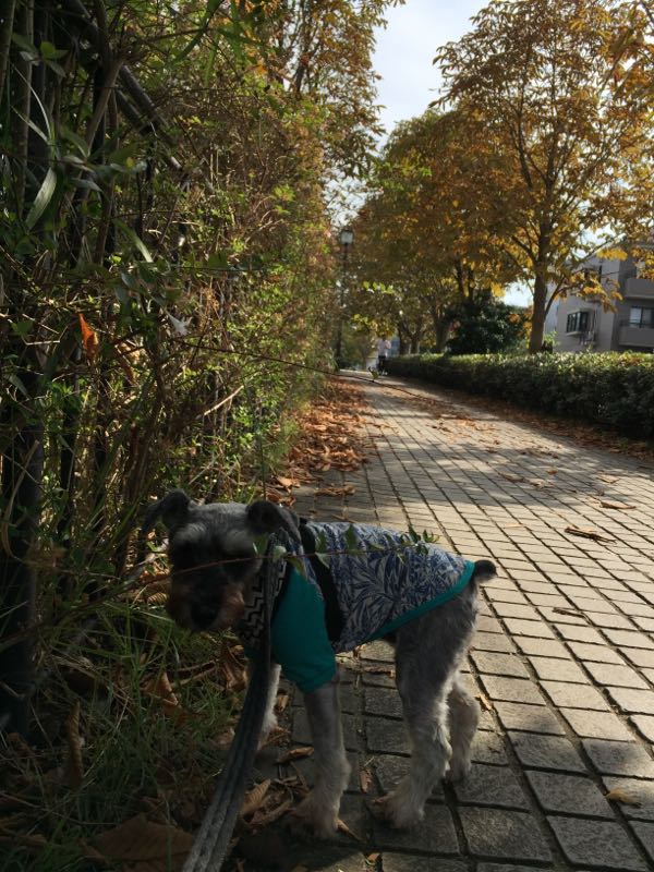 rblog-20161024010812-03.jpg