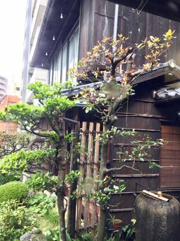 rblog-20161223184033-06.jpg