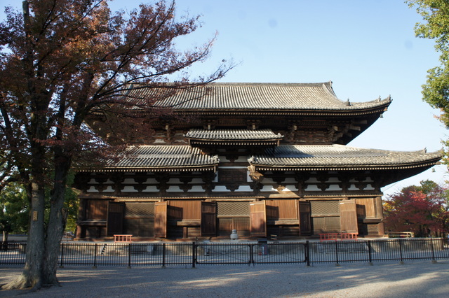 東寺金堂.jpg