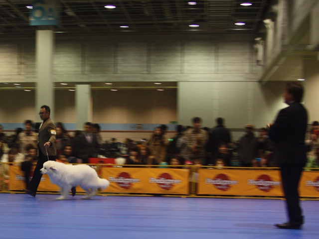 IMG_2441 - コピー.JPG