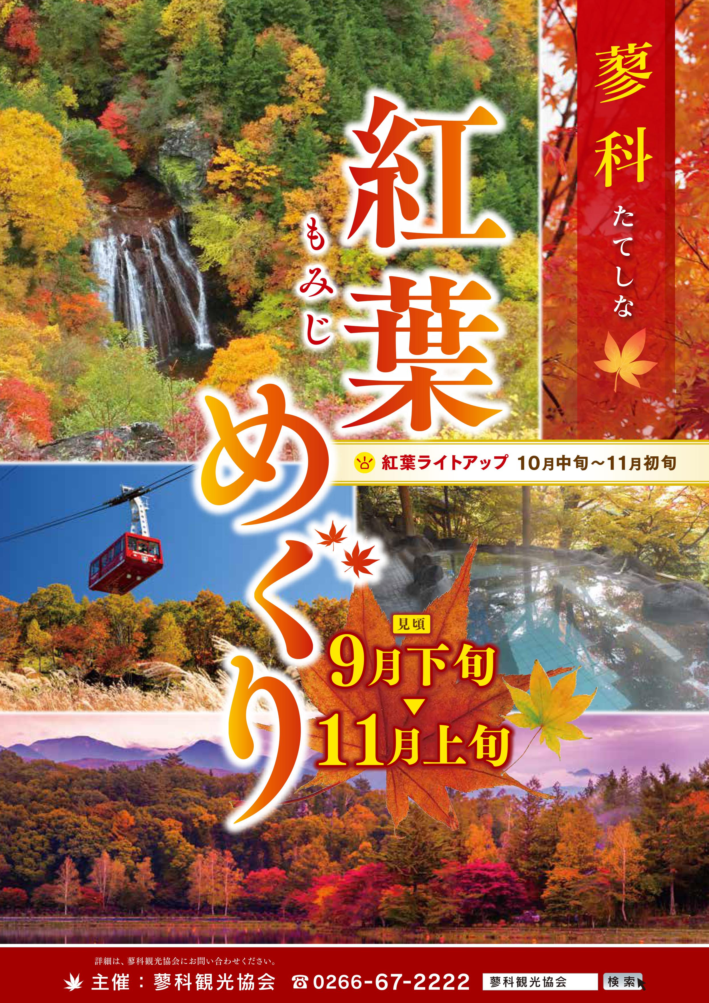 蓼科 紅葉 もみじ めぐり 創業大正十五年 蓼科 親湯温泉 楽天ブログ 新着情報 楽天ブログ