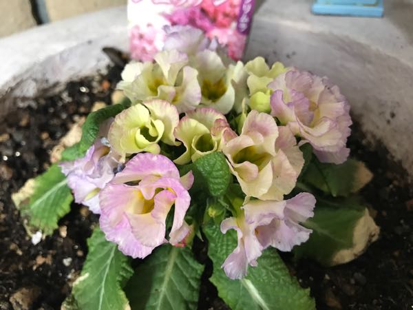 rblog-20170329181905-01.jpg