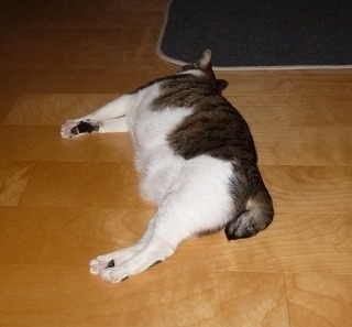 P1200945-ass.jpg