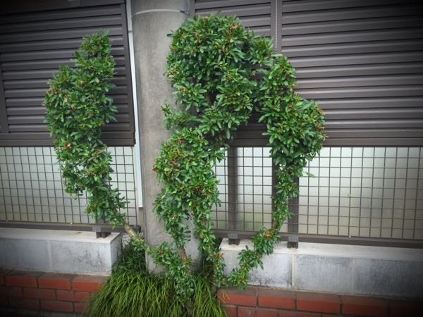 rblog-20160528225139-01.jpg