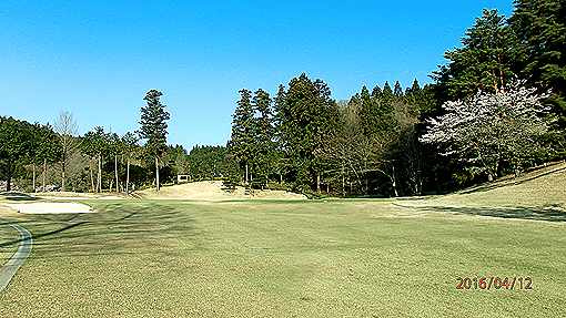 P4123250h3.jpg