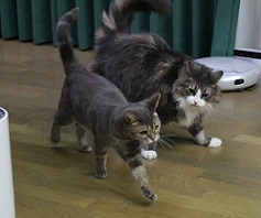 5DA_3387-29.jpg