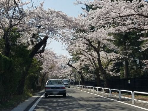 rblog-20180422195245-01.jpg