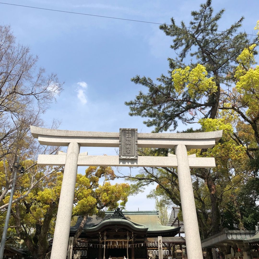 石切さんで刀女に紛れる 犬と旦那とiga ニャン 楽天ブログ