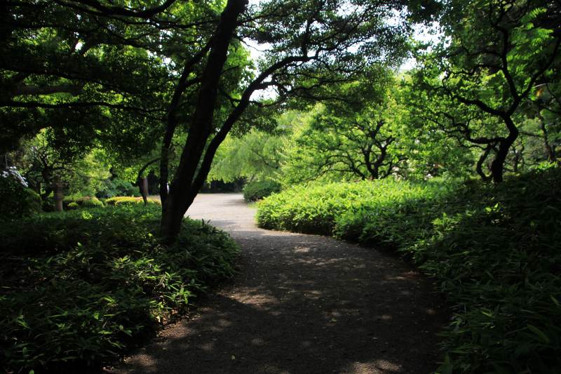 新宿御苑_08日本庭園への遊歩道.jpg