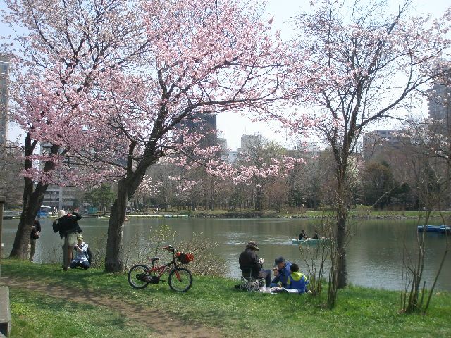 札幌中島公園の枝垂れ桜と豊平館 Dreamｃｇギャラリー 楽天ブログ