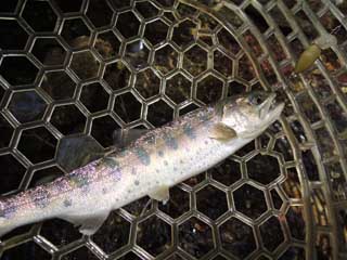 20130506_narako_04.jpg
