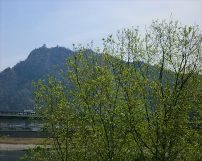 CIMG3293_R.JPG