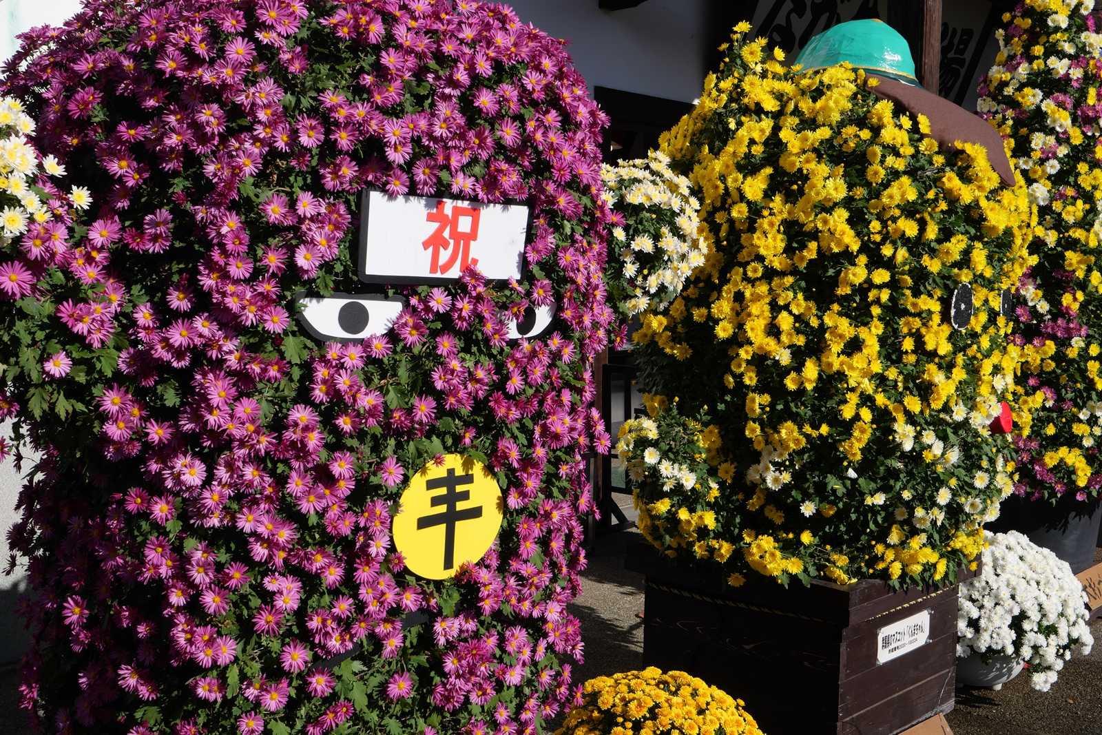 3年ぶりの関東菊花大会＠大間々・ながめ公園(その一) | シグマのカメラに魅せられて - 楽天ブログ